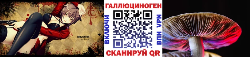 блэк спрут зеркало хочу Красноперекопск Галлюциногенные грибы Cubensis
